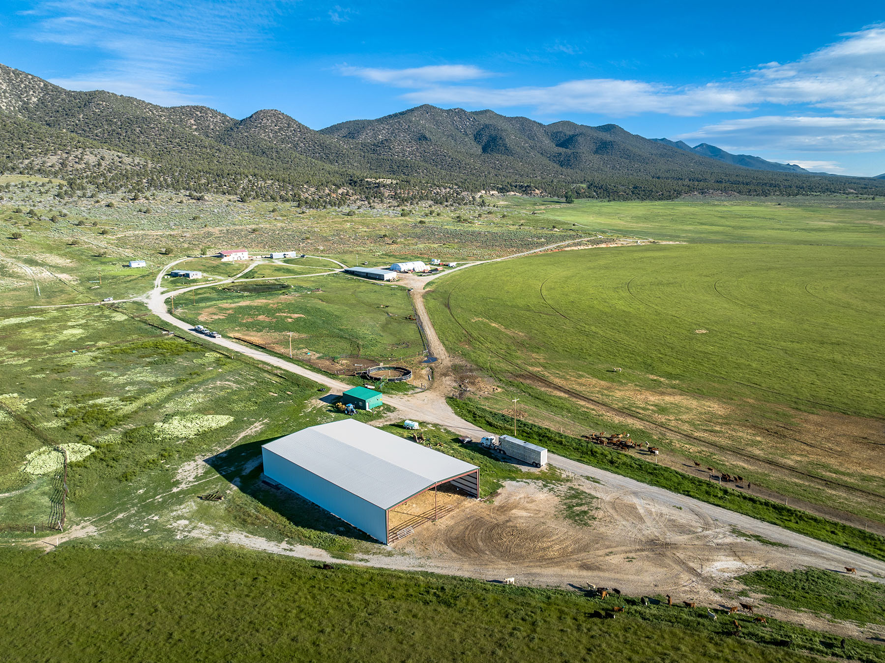 Diamond Springs Ranch property picture 3 of 48