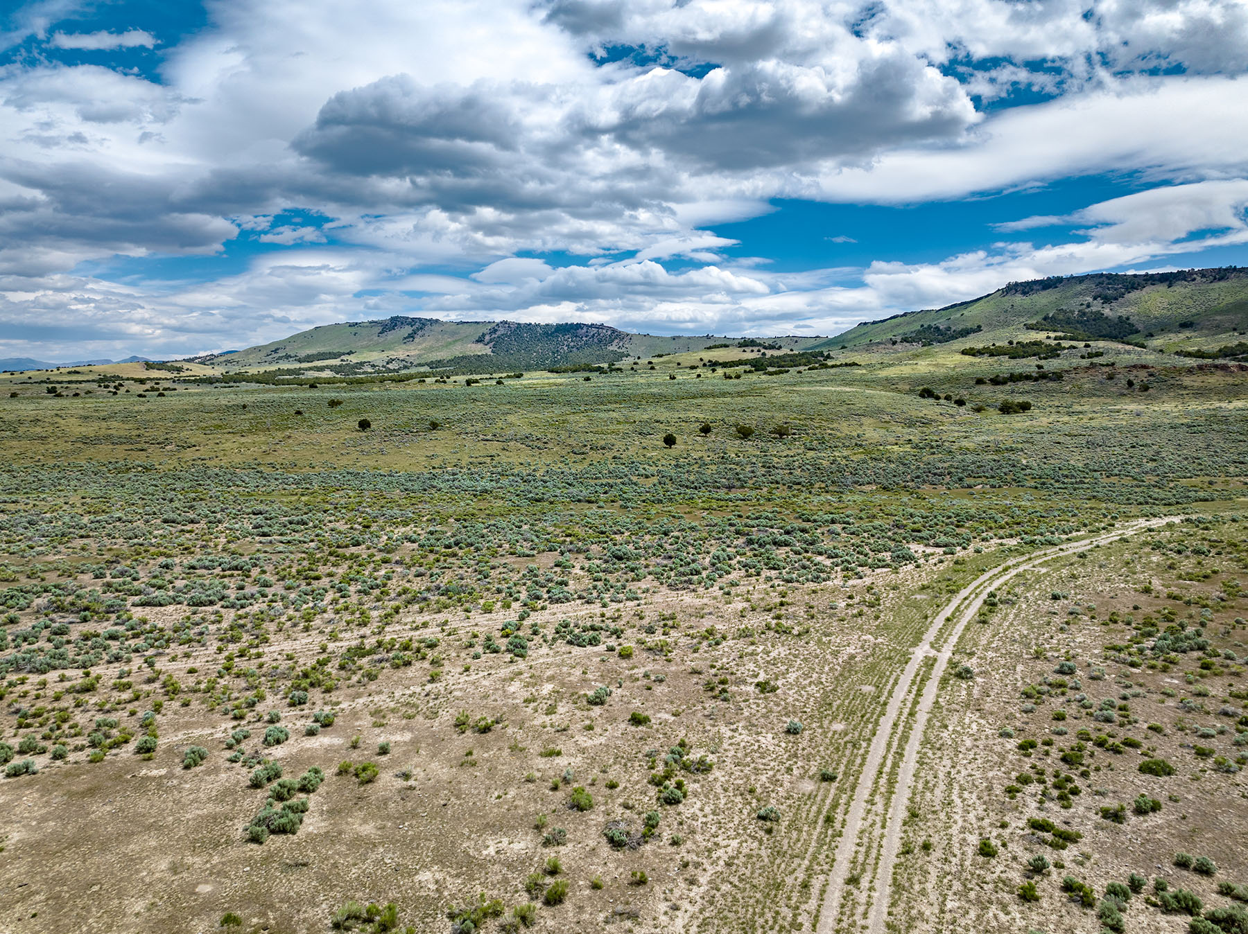 Diamond Springs Ranch property picture 36 of 48