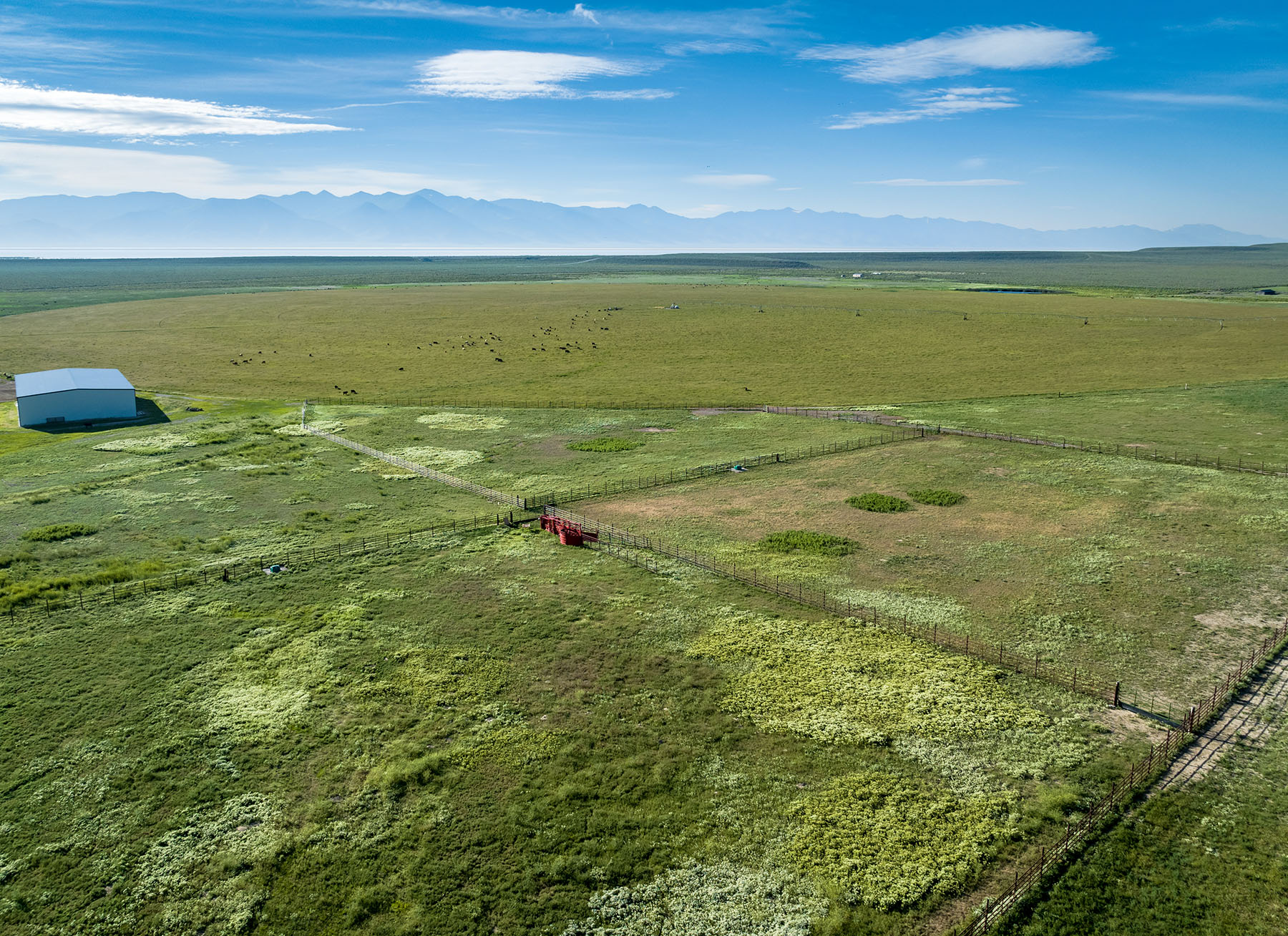 Diamond Springs Ranch - Sold - Nevada - Hall and Hall