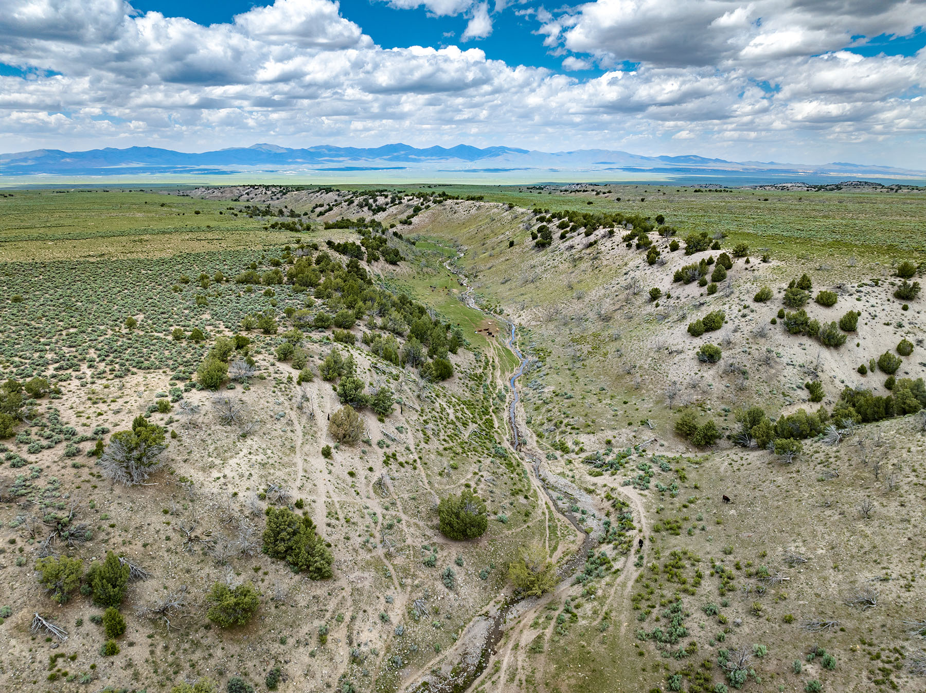 Diamond Springs Ranch property picture 46 of 48