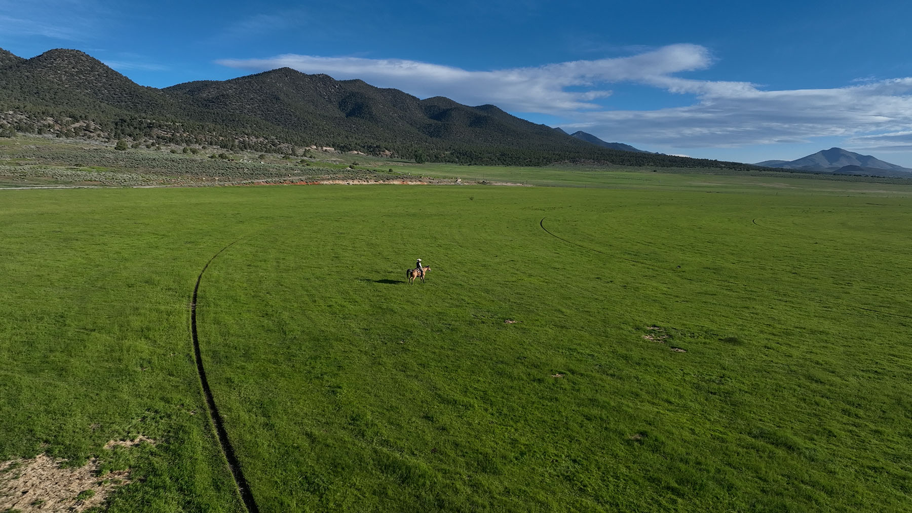 Diamond Springs Ranch property picture 28 of 48