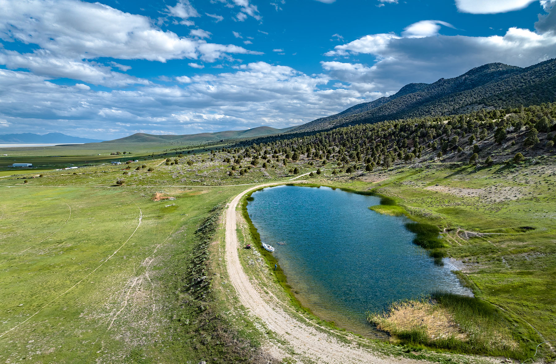 Diamond Springs Ranch property picture 6 of 48