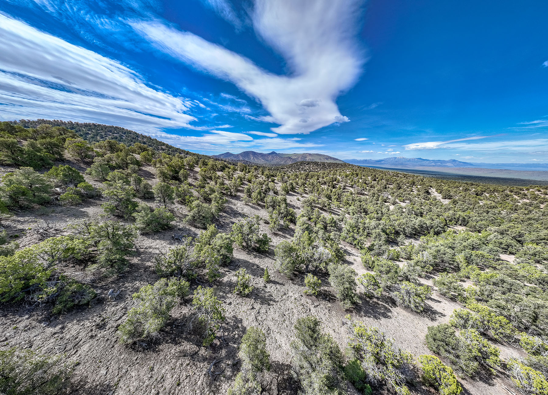 Diamond Springs Ranch property picture 32 of 48
