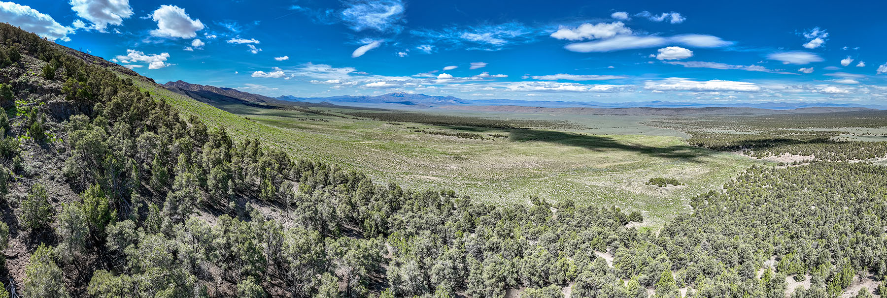 Diamond Springs Ranch property picture 38 of 48