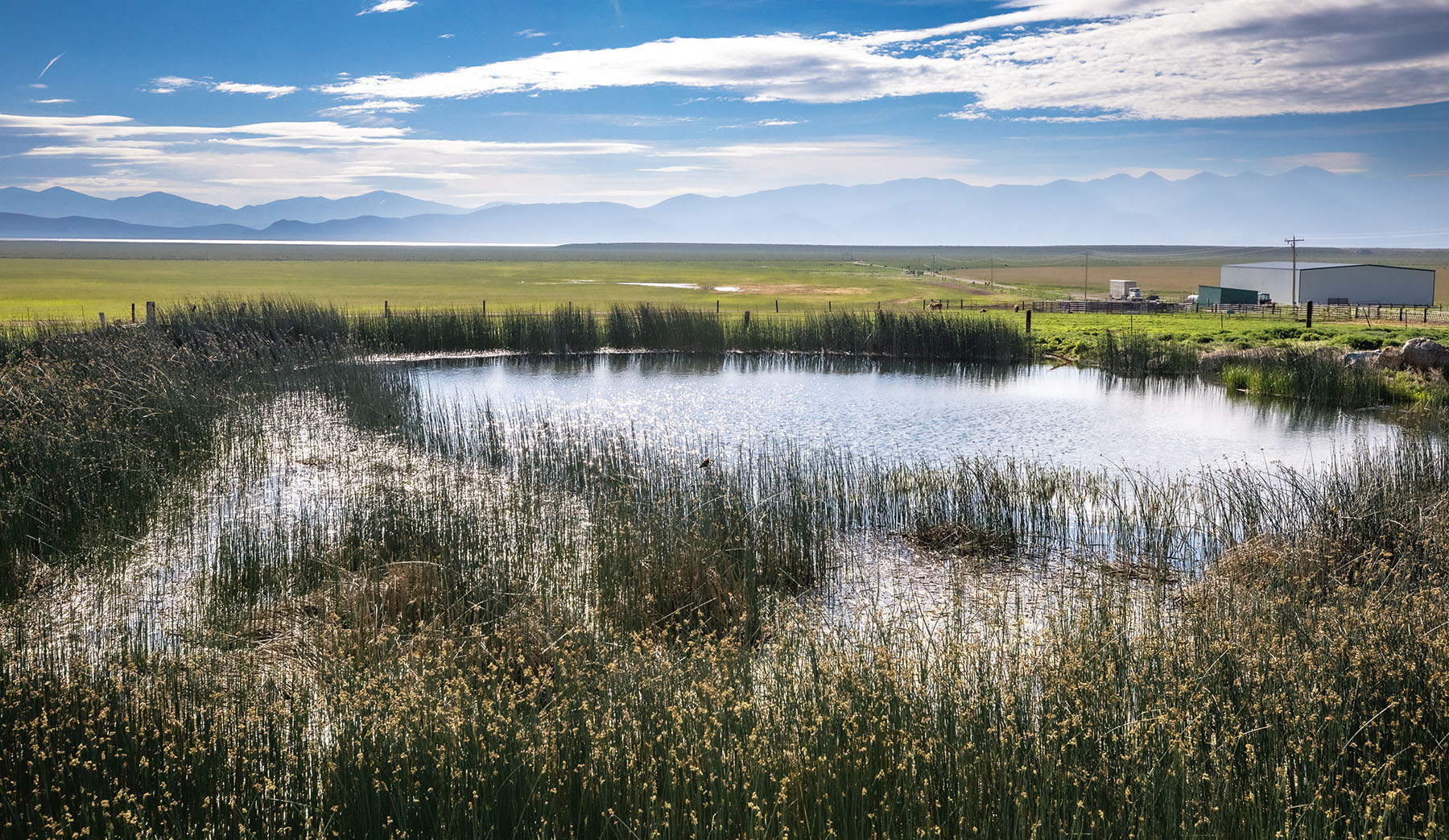 Diamond Springs Ranch property picture 47 of 48