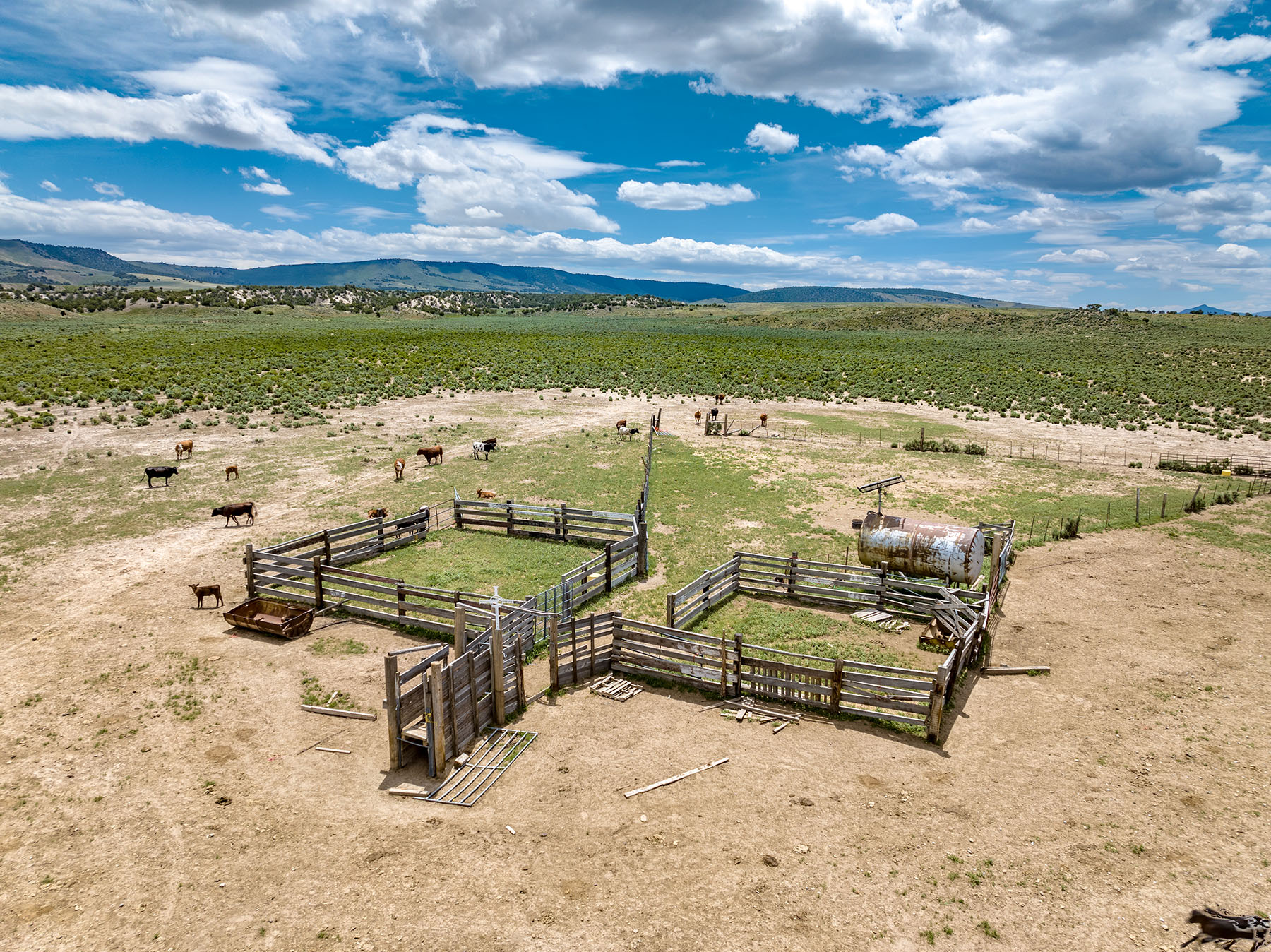 Diamond Springs Ranch property picture 10 of 48