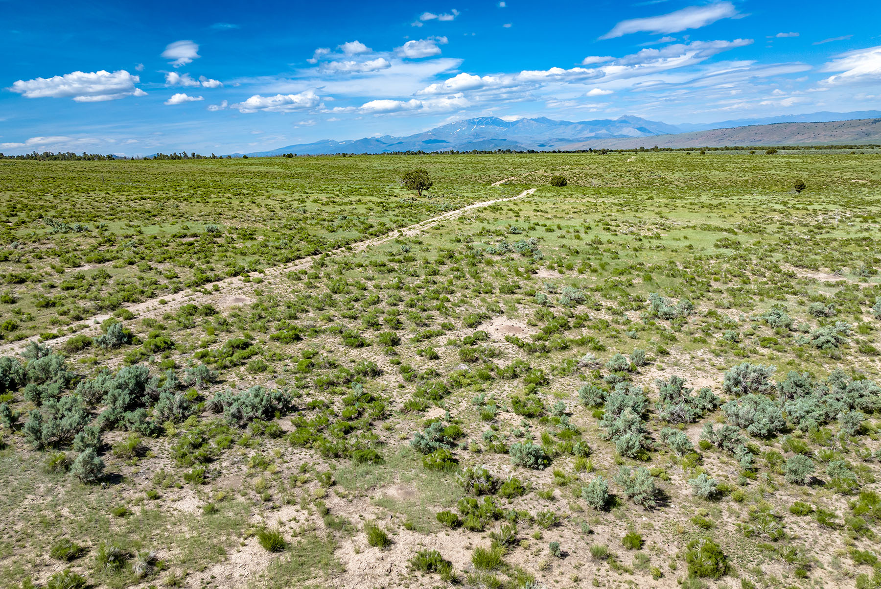 Diamond Springs Ranch property picture 13 of 48