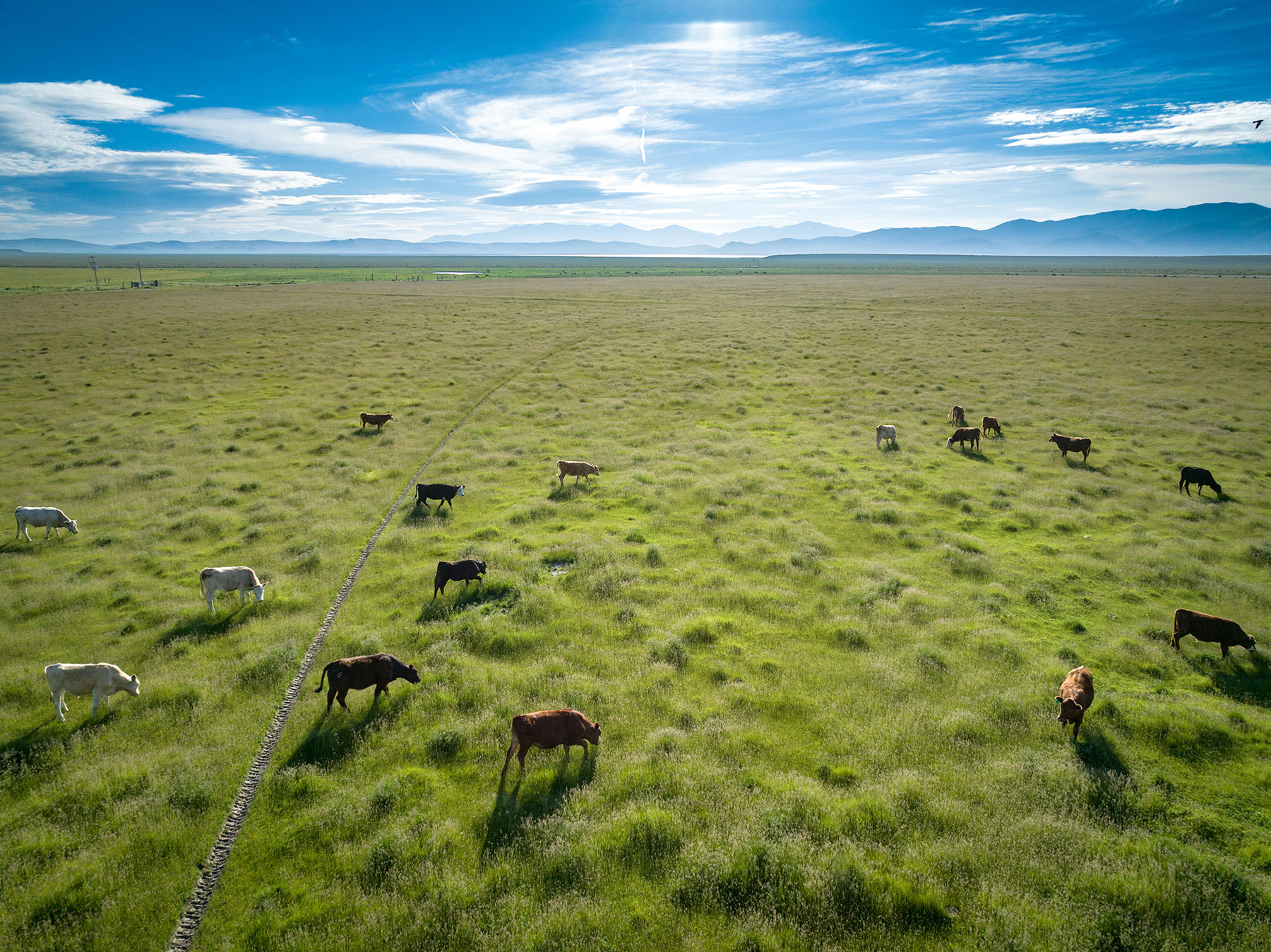 Diamond Springs Ranch - Sold - Nevada - Hall and Hall