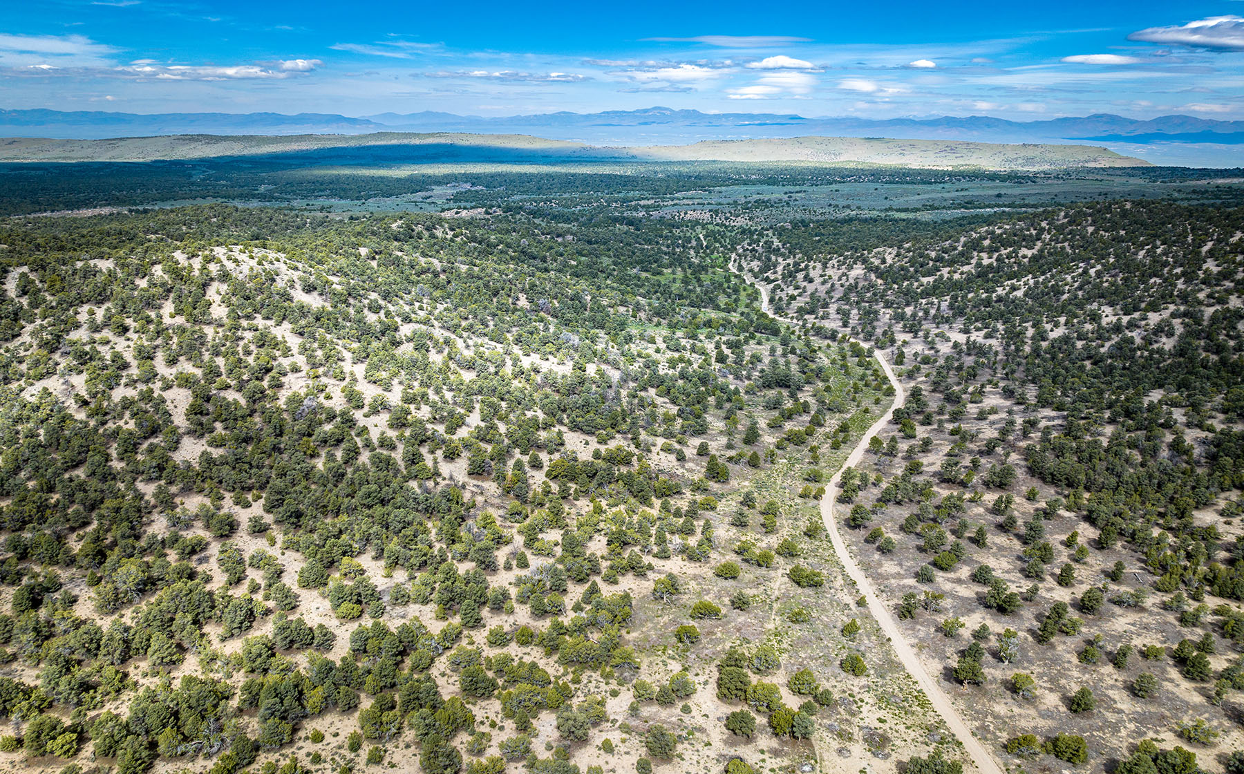 Diamond Springs Ranch property picture 7 of 48