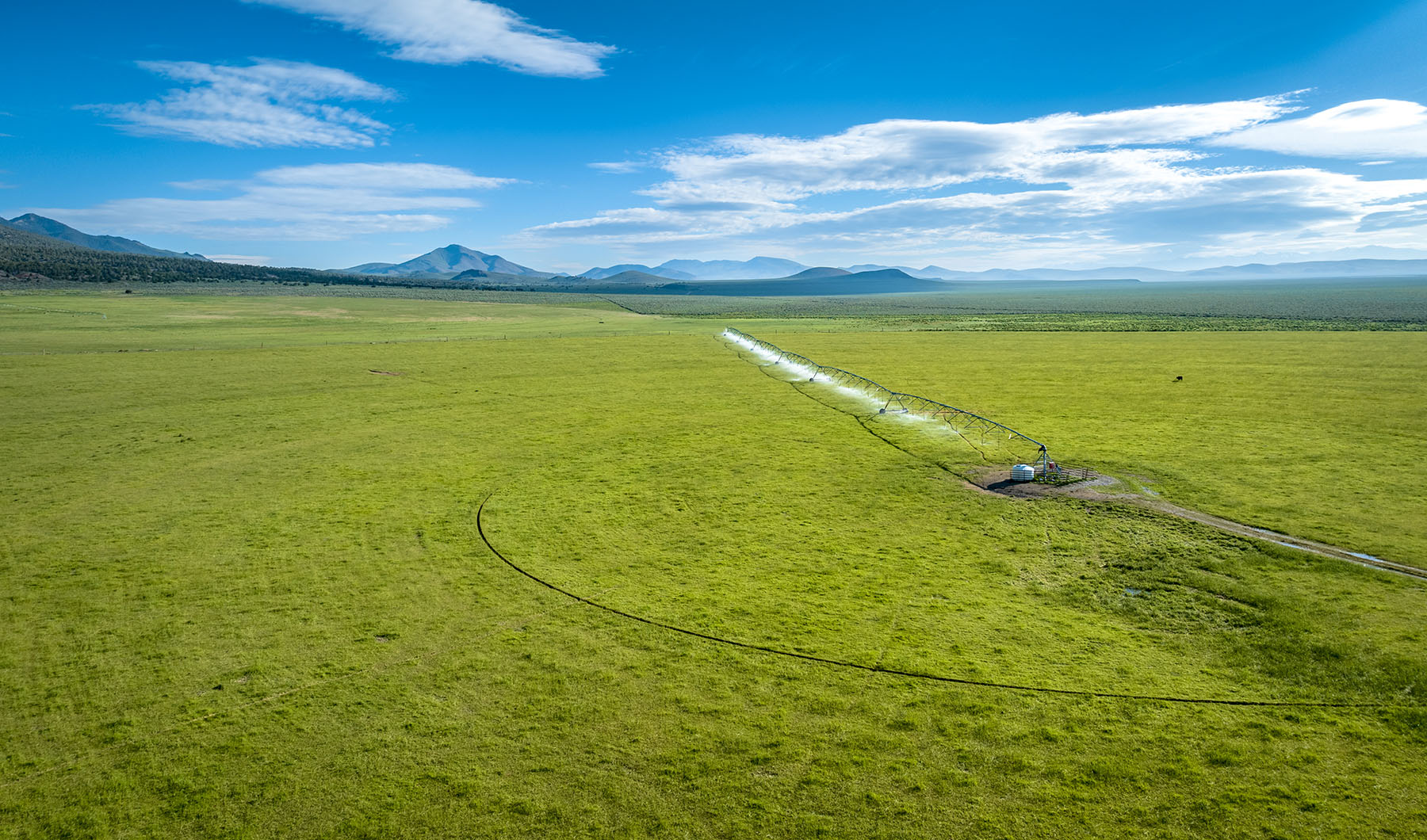 Diamond Springs Ranch property picture 4 of 48