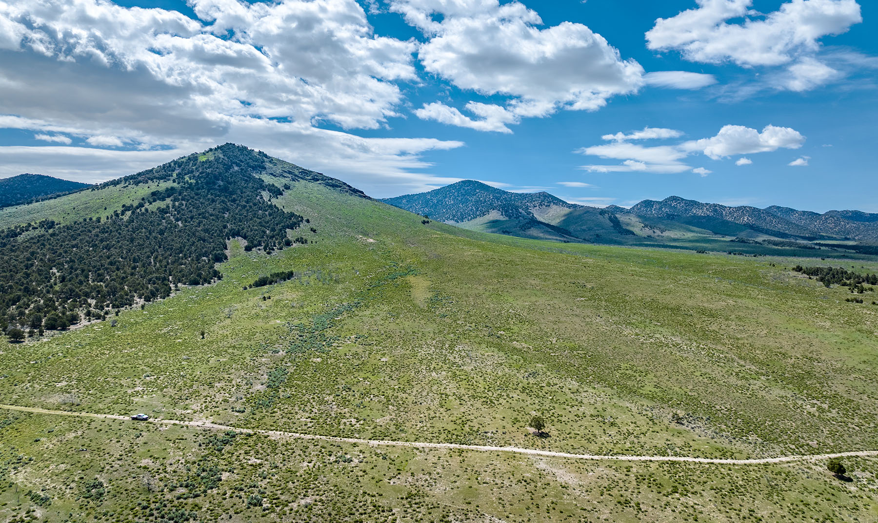 Diamond Springs Ranch property picture 5 of 48