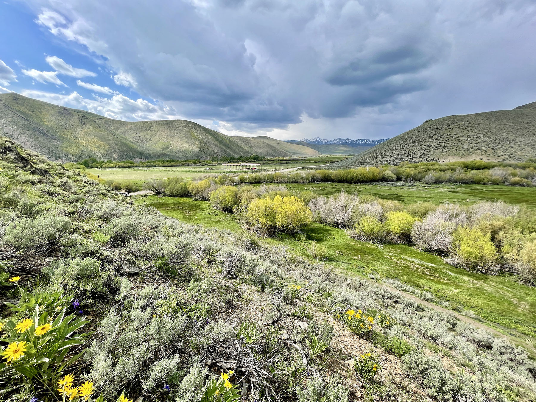 Fish Creek Ranch 20 property picture 3 of 68