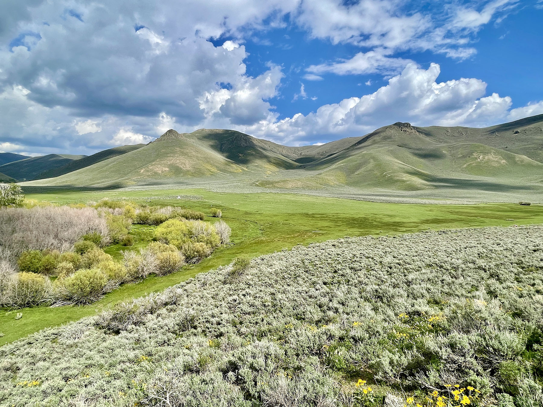 Fish Creek Ranch 20 property picture 47 of 68