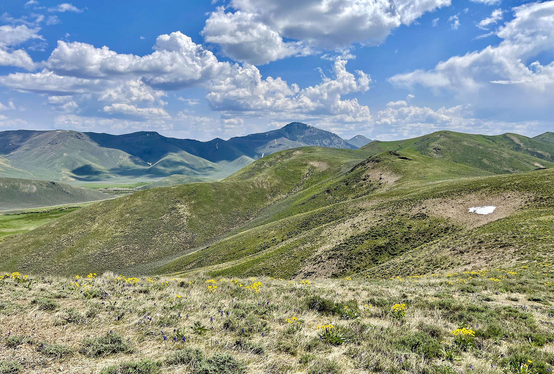 Fish Creek Ranch 20 property picture 42 of 68