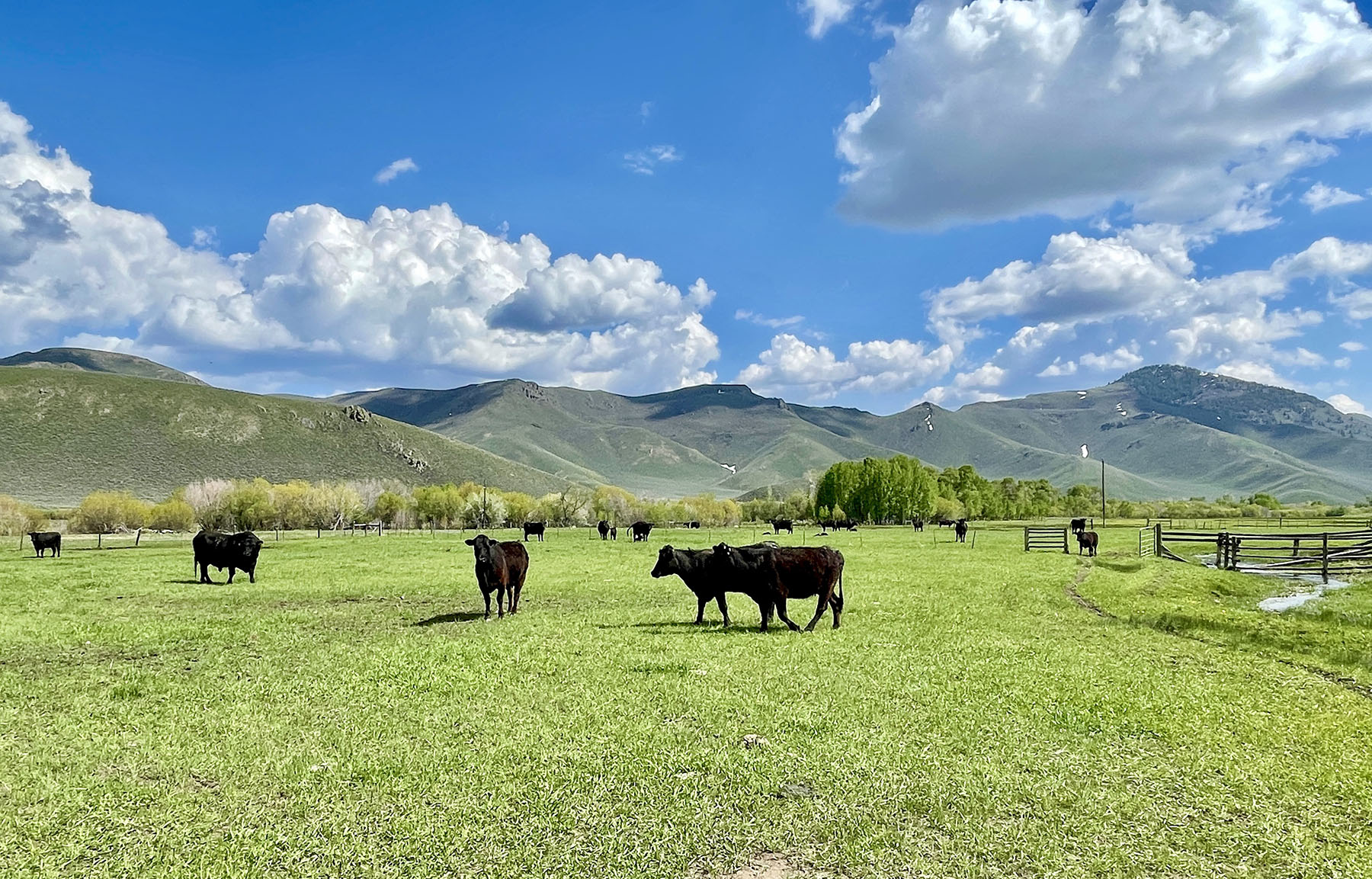 Fish Creek Ranch 20 property picture 10 of 68