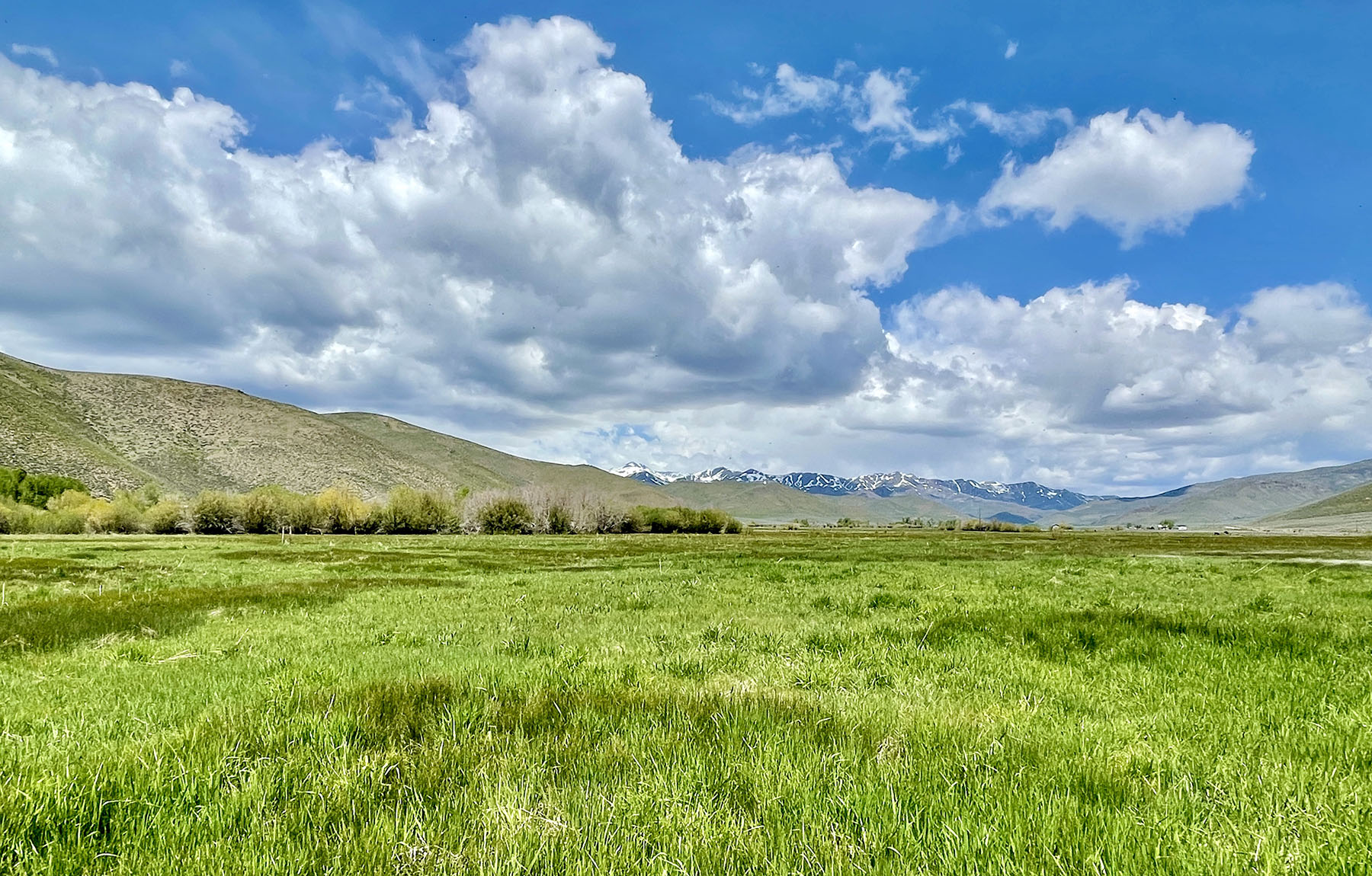 Fish Creek Ranch 20 property picture 5 of 68