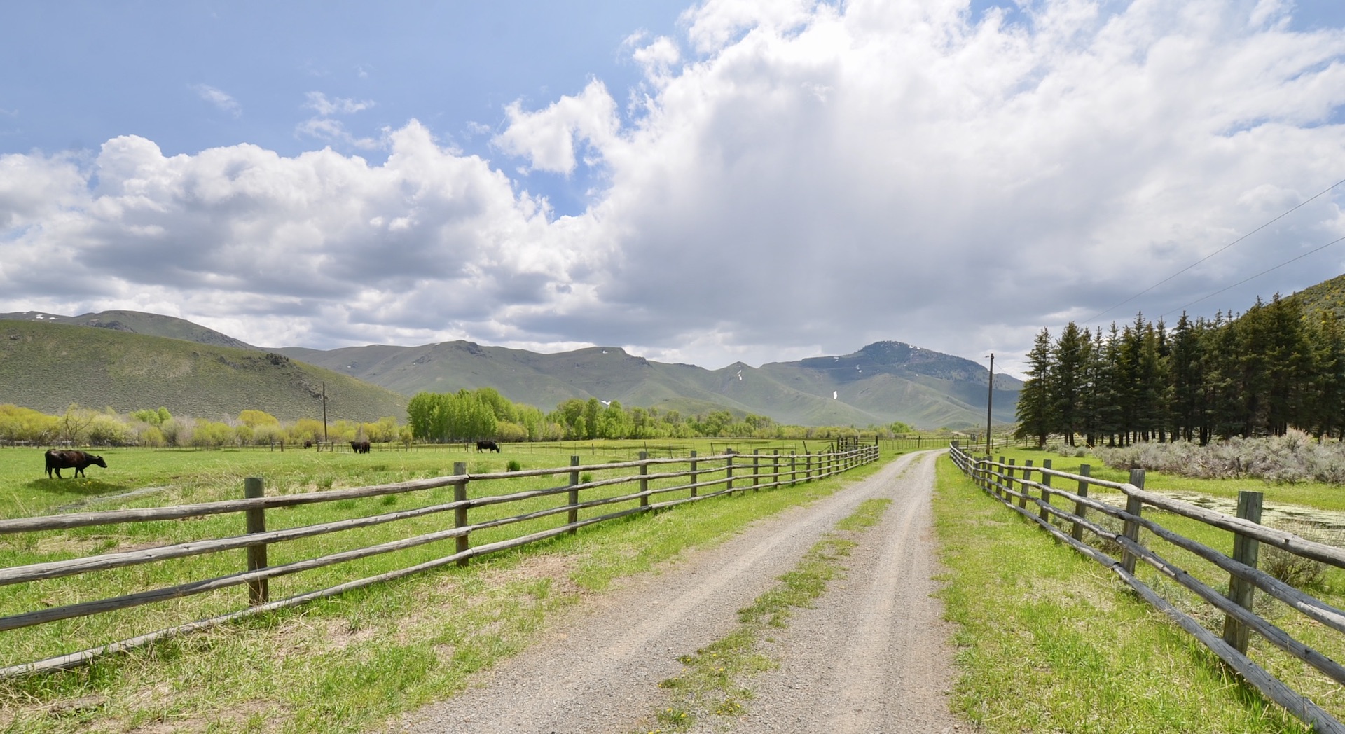 Fish Creek Ranch 20 property picture 15 of 68