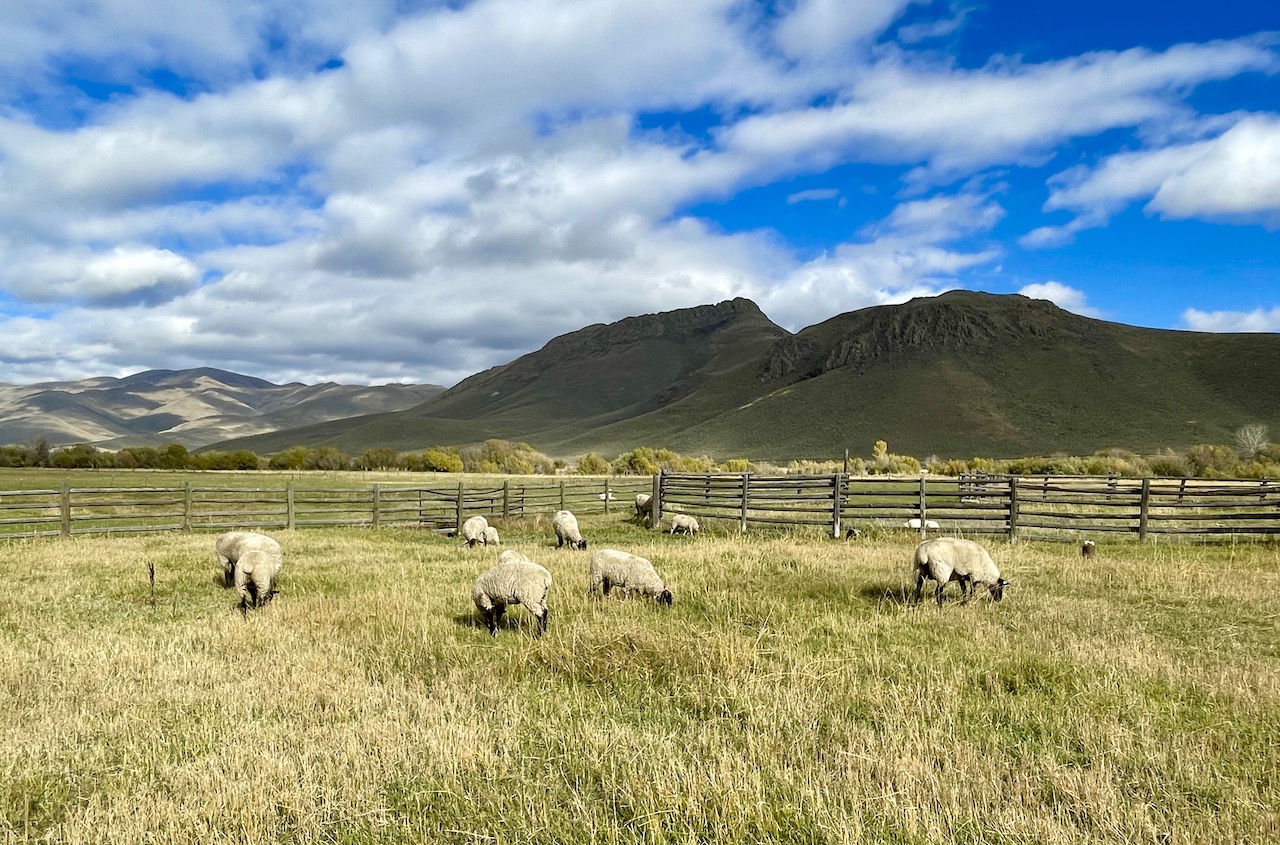 Fish Creek Ranch 20 property picture 54 of 68
