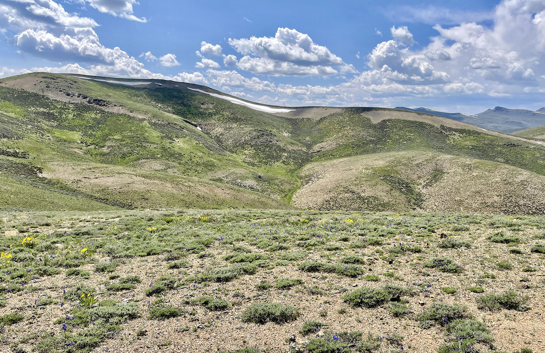 Fish Creek Ranch 20 property picture 43 of 68