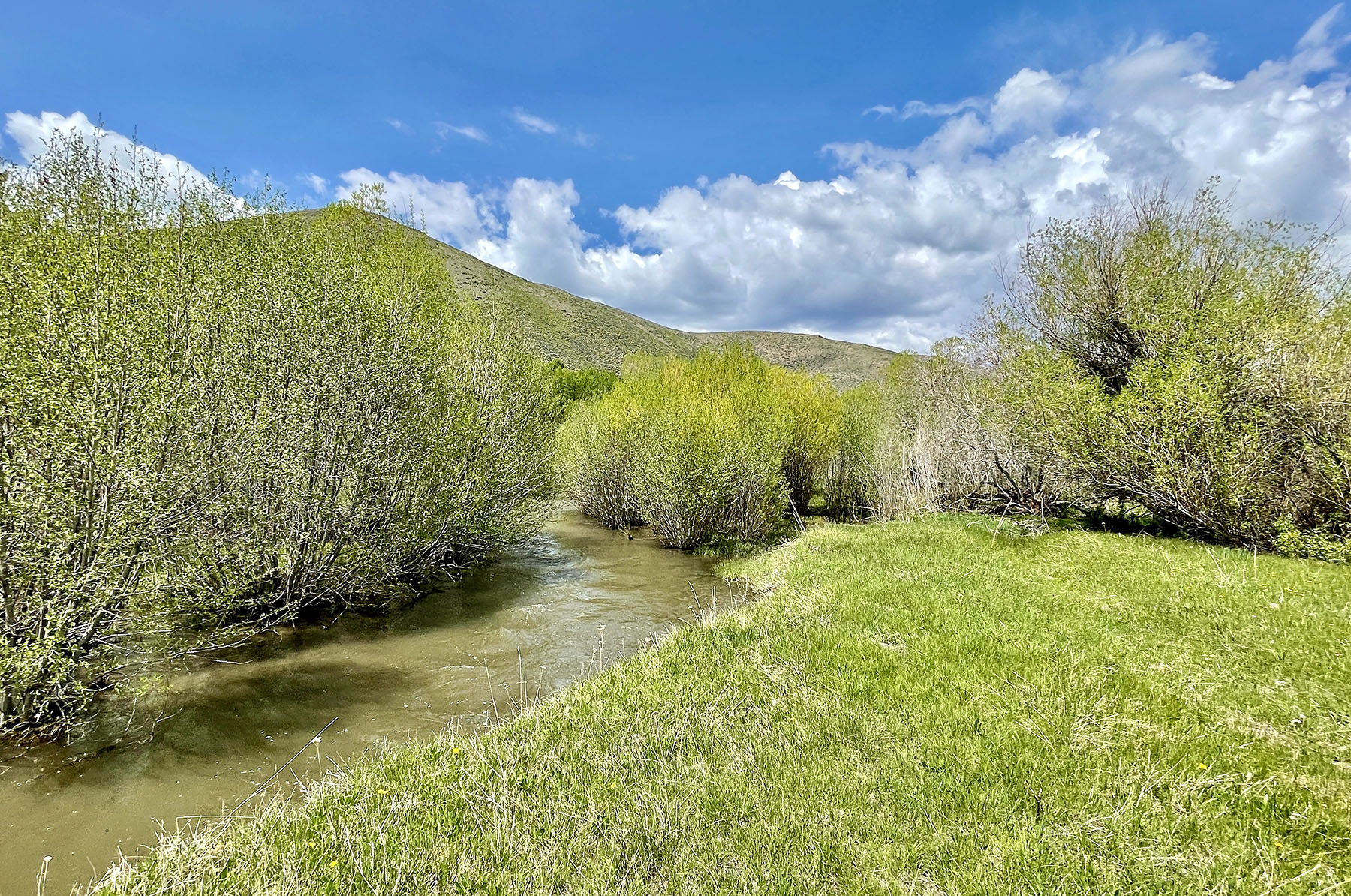 Fish Creek Ranch 20 property picture 7 of 68