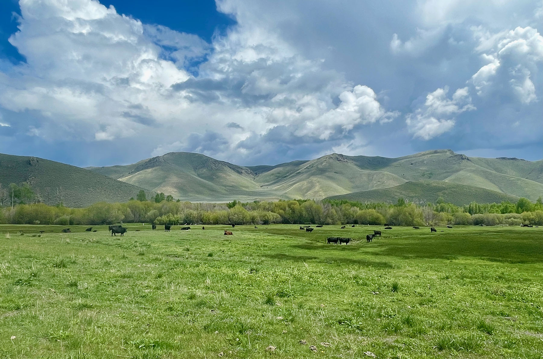 Fish Creek Ranch 20 property picture 67 of 68