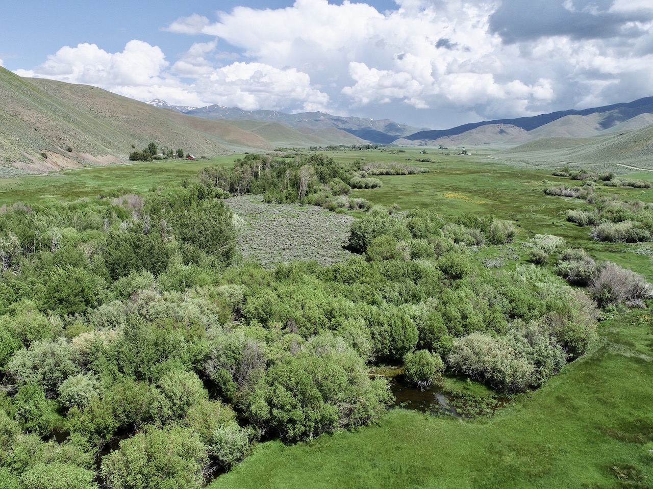 Fish Creek Ranch 20 property picture 39 of 68