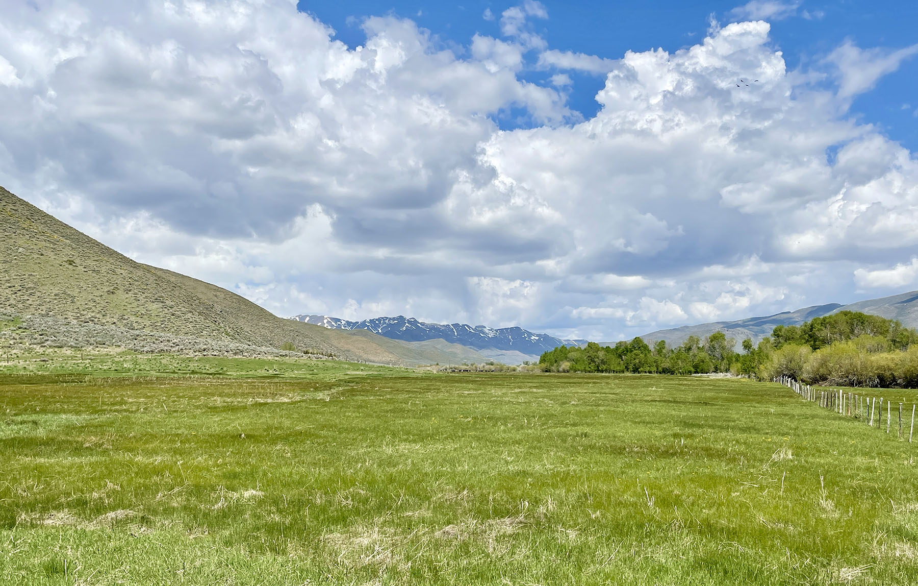 Fish Creek Ranch 20 property picture 45 of 68