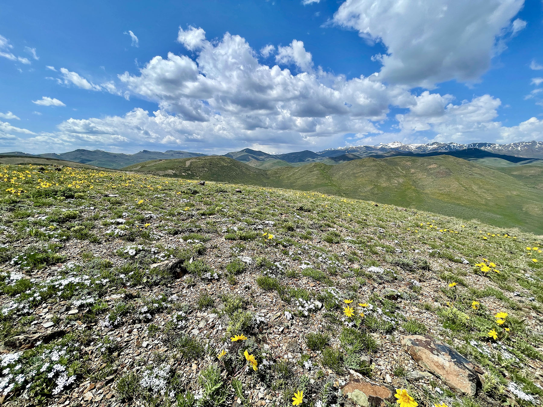 Fish Creek Ranch 20 property picture 41 of 68