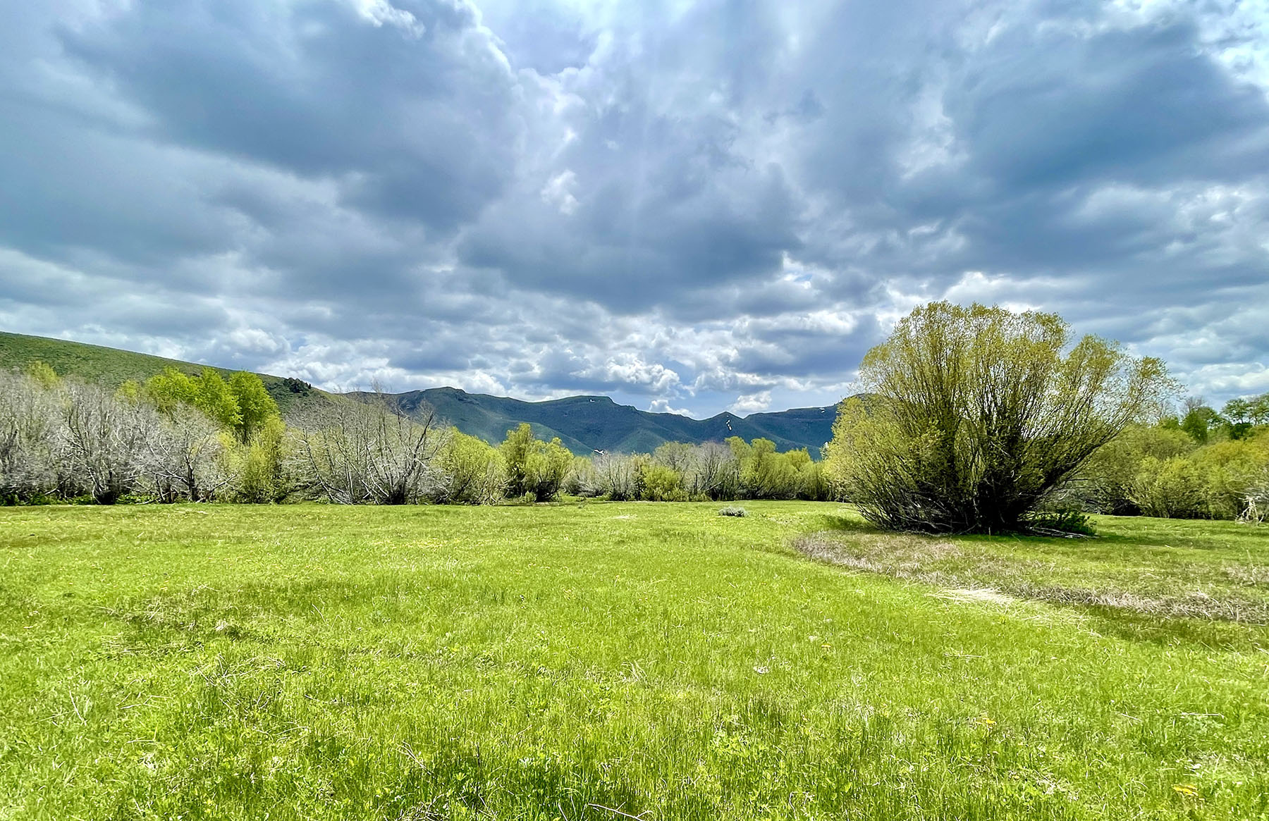 Fish Creek Ranch 20 property picture 49 of 68