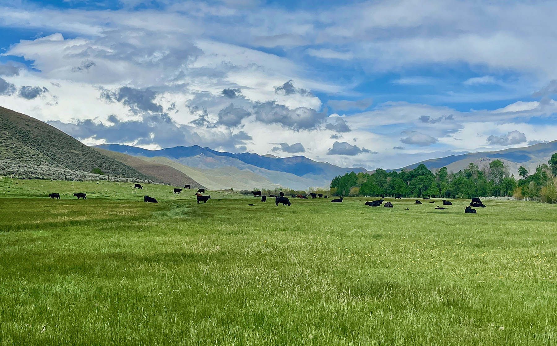 Fish Creek Ranch 20 property picture 66 of 68