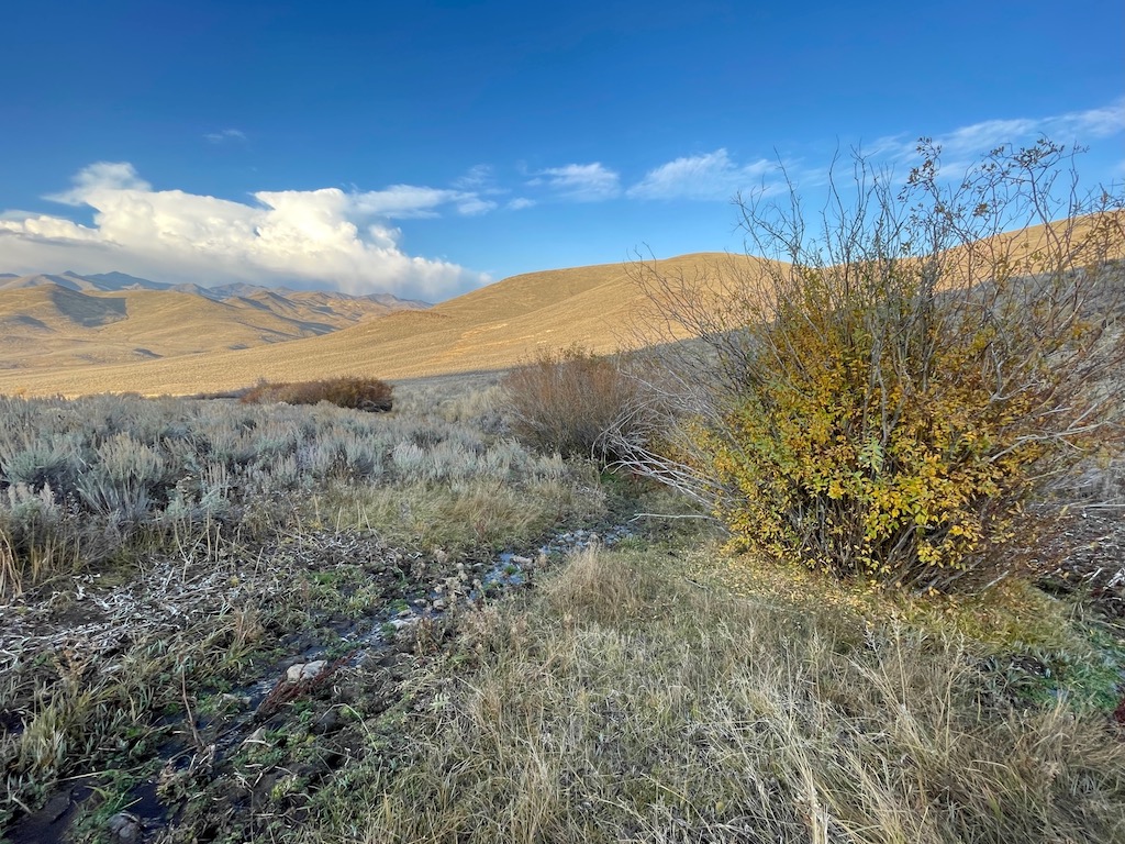 Fish Creek Ranch 20 property picture 59 of 68