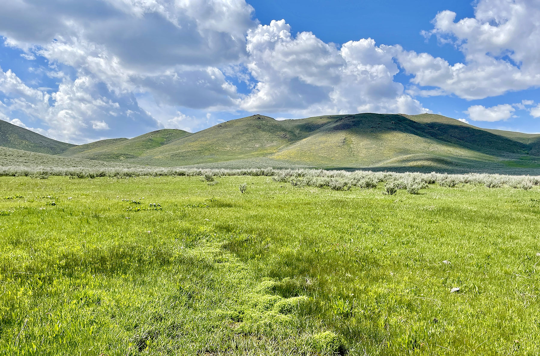 Fish Creek Ranch 20 property picture 11 of 68