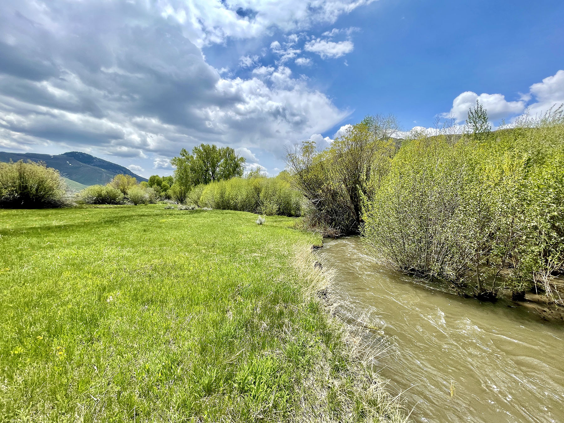 Fish Creek Ranch 20 property picture 6 of 68