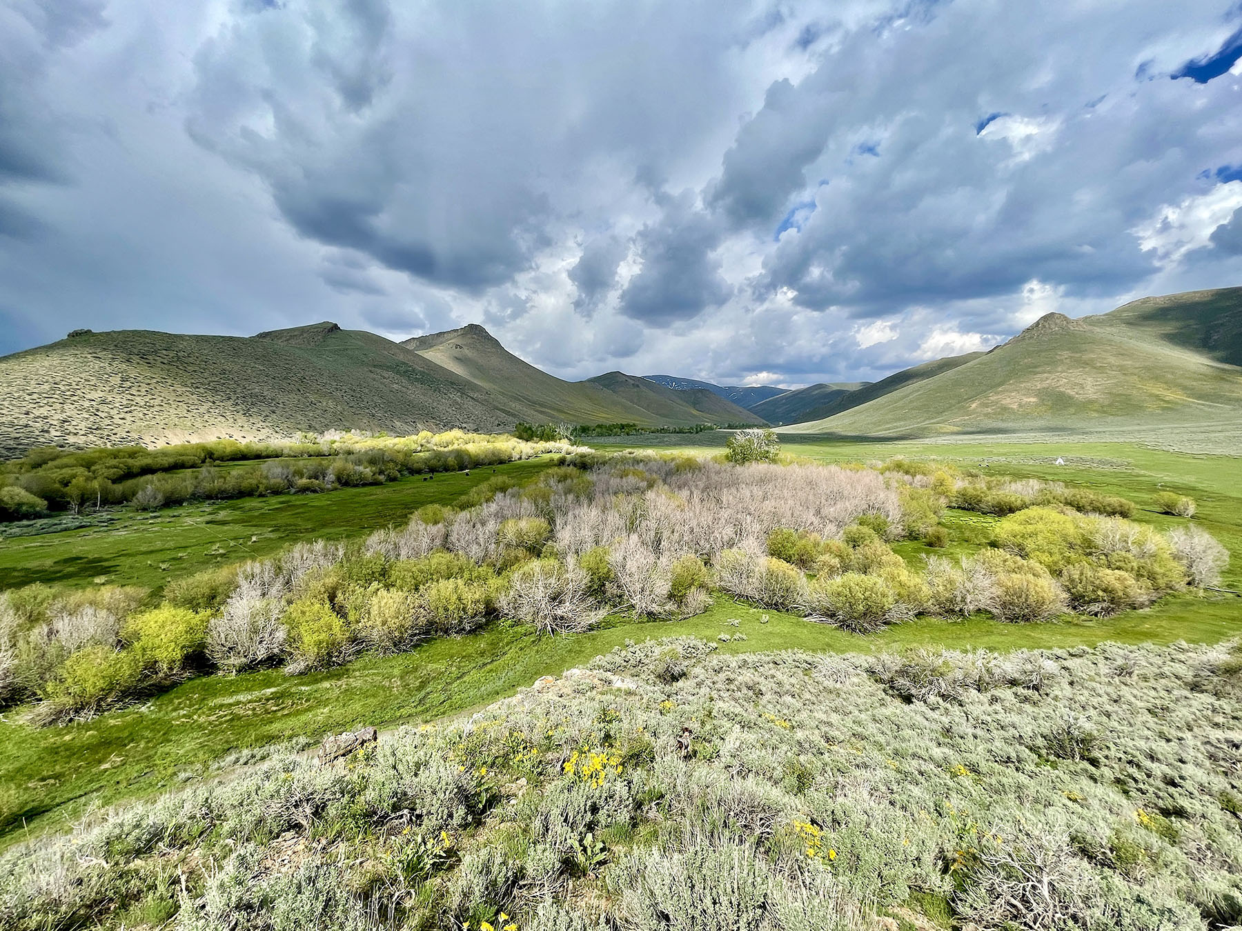 Fish Creek Ranch 20 property picture 4 of 68