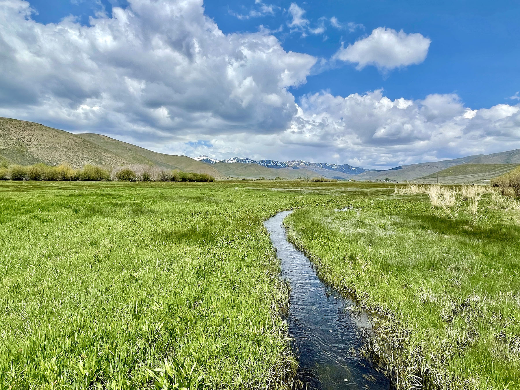 Fish Creek Ranch 20 property picture 51 of 68