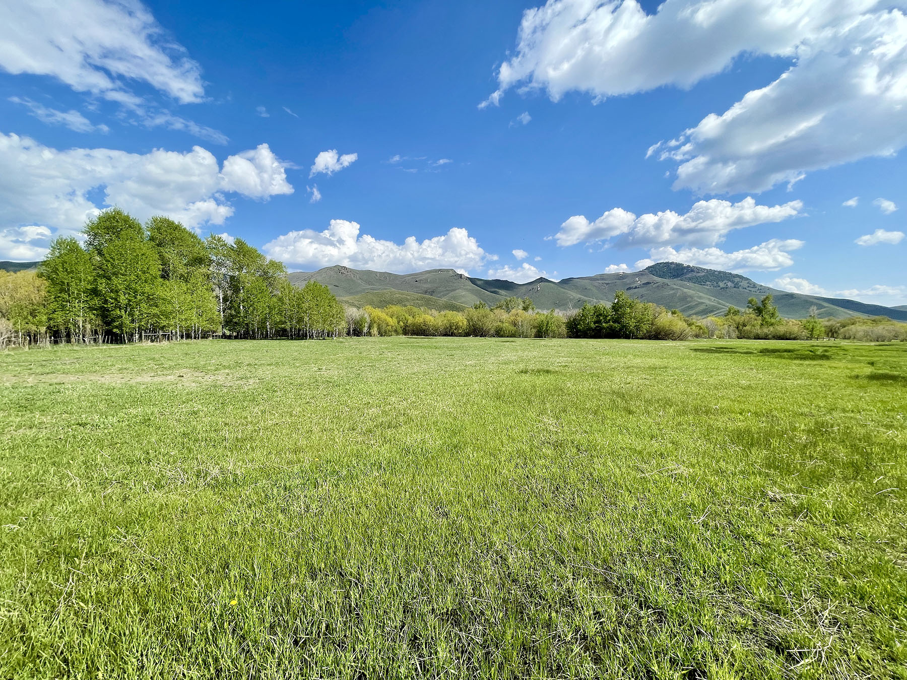 Fish Creek Ranch 20 property picture 9 of 68