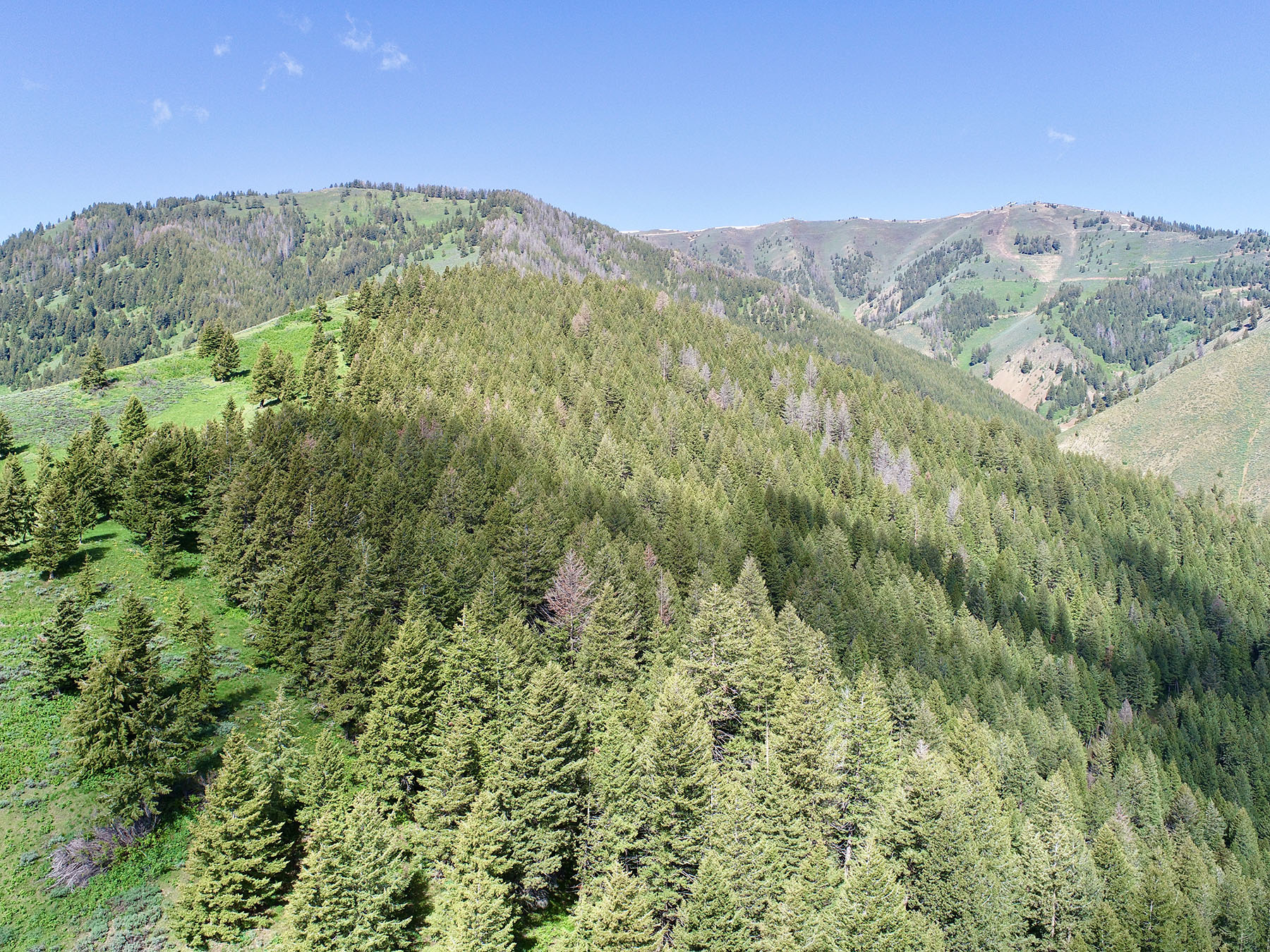 Soaring Eagle Retreat For Sale Idaho Hall and Hall