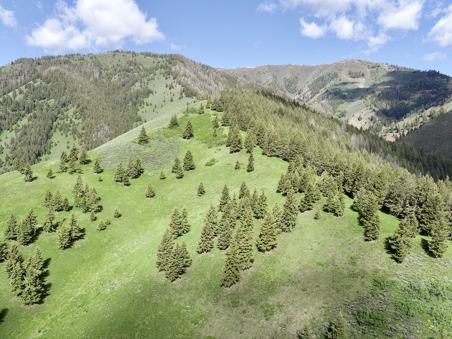 Soaring Eagle Retreat property picture 62 of 79