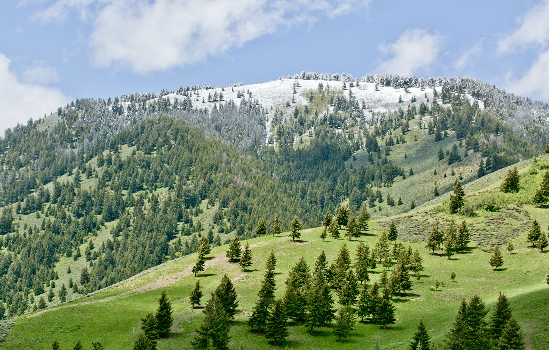 Soaring Eagle Retreat property picture 77 of 79