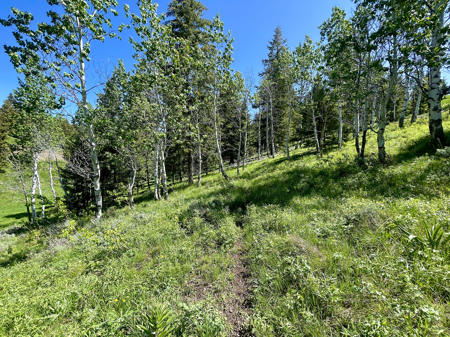 Soaring Eagle Retreat For Sale Idaho Hall and Hall