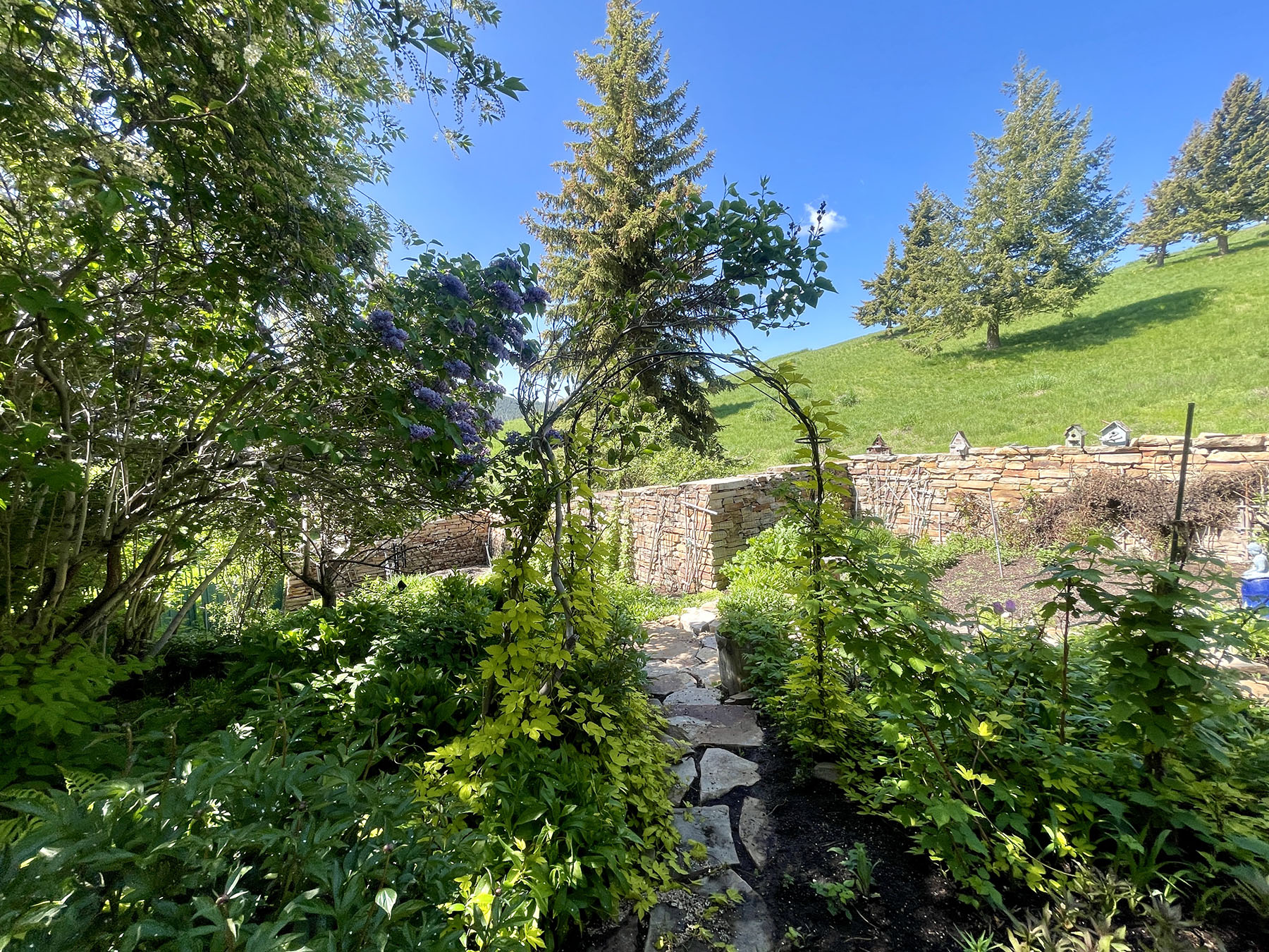 Soaring Eagle Retreat property picture 38 of 79