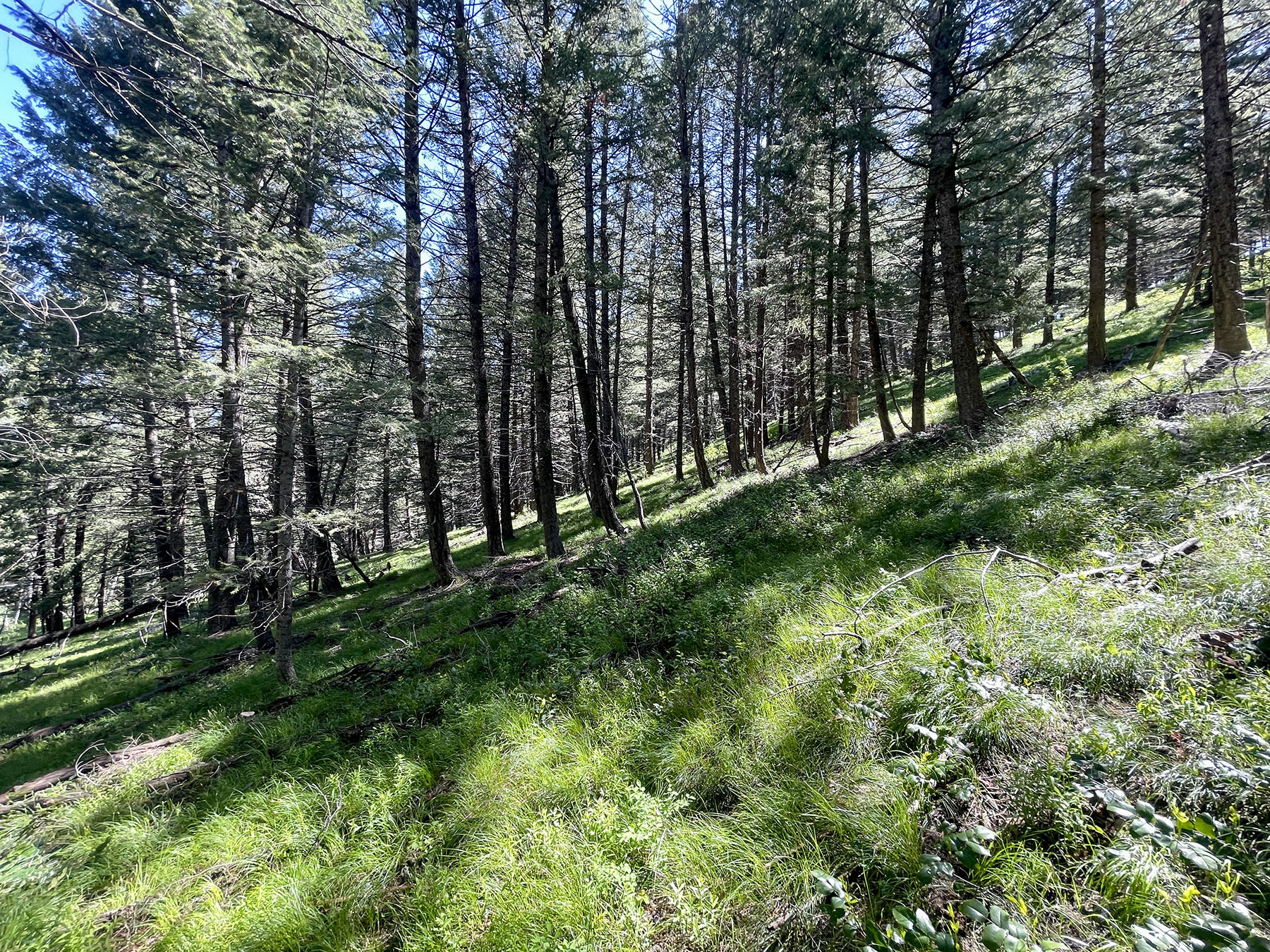 Soaring Eagle Retreat property picture 54 of 79