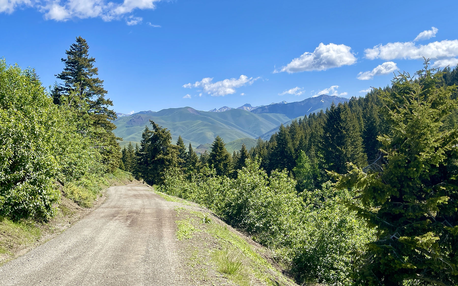 Soaring Eagle Retreat For Sale Idaho Hall and Hall