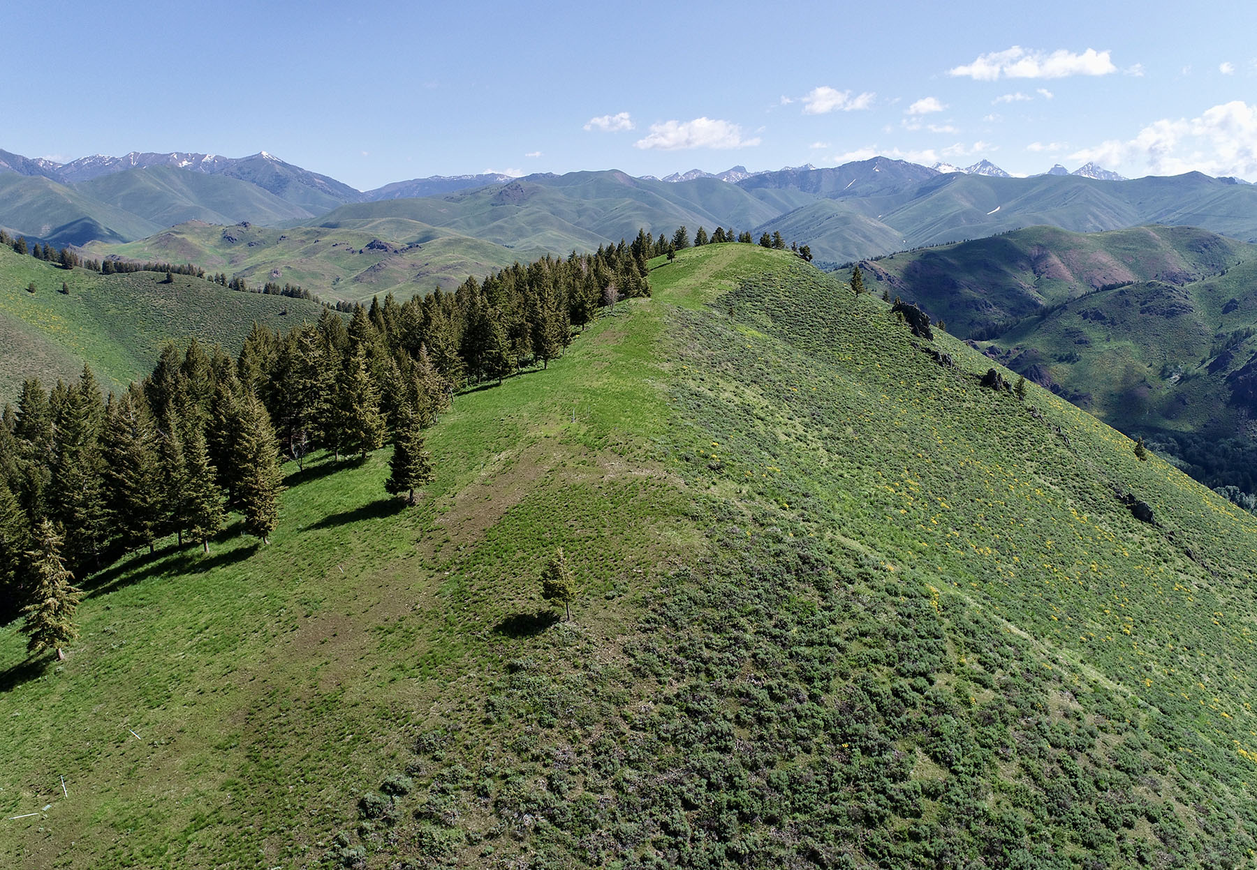 Soaring Eagle Retreat property picture 70 of 79