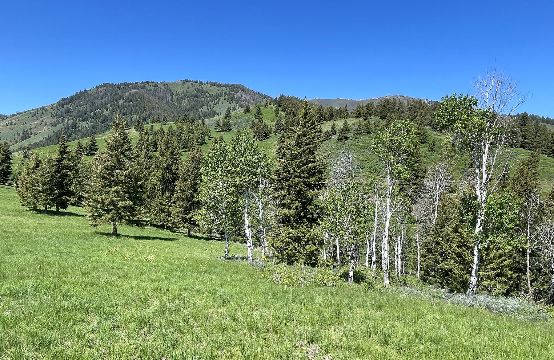 Soaring Eagle Retreat property picture 59 of 79