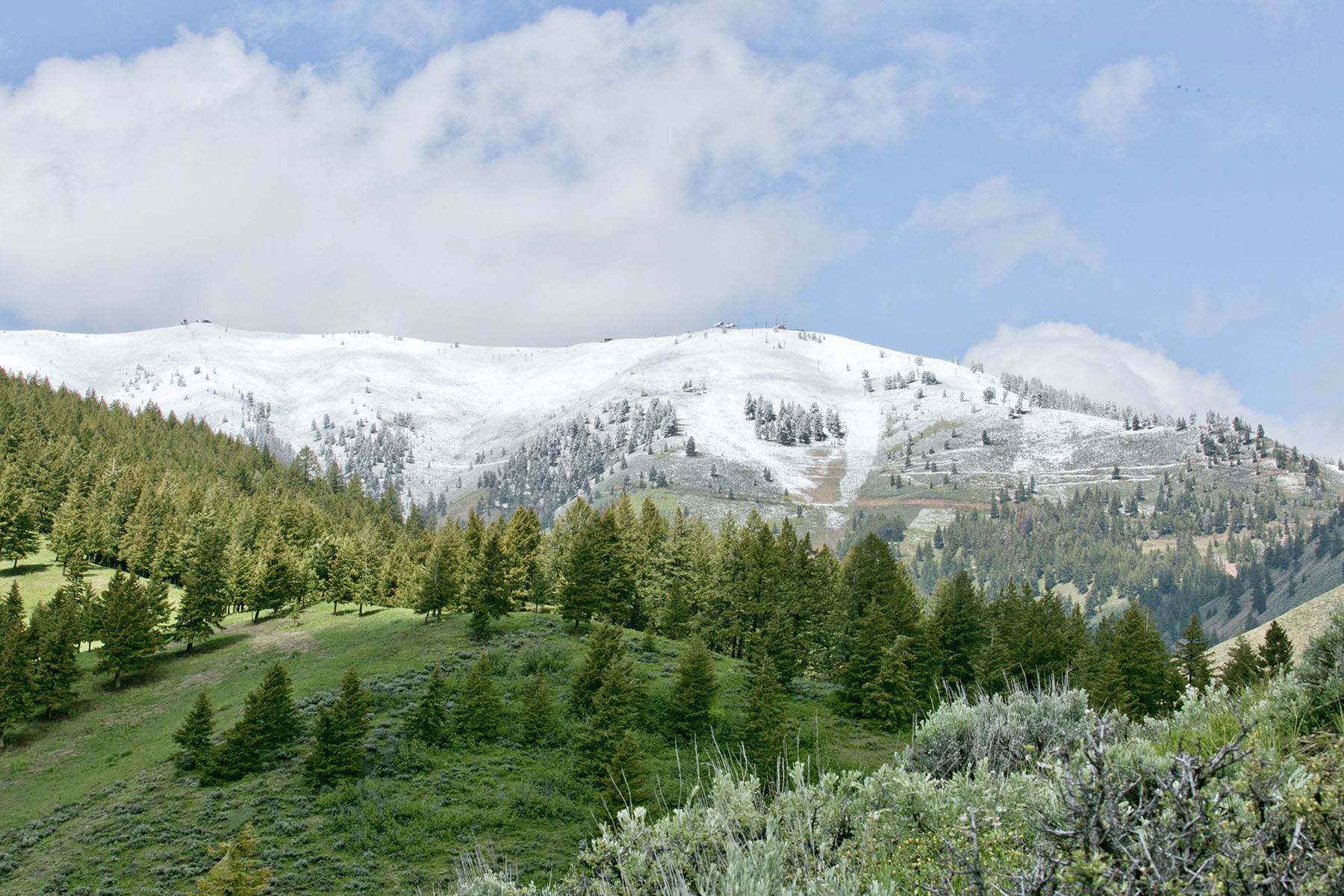 Soaring Eagle Retreat property picture 76 of 79