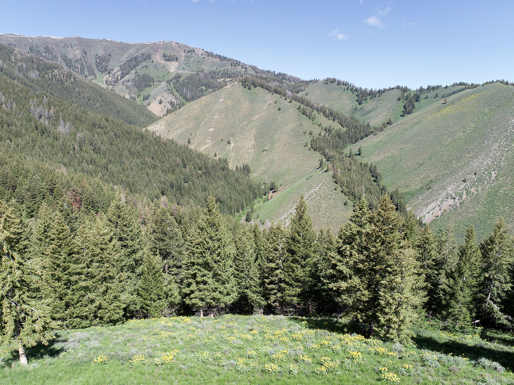 Soaring Eagle Retreat property picture 71 of 79