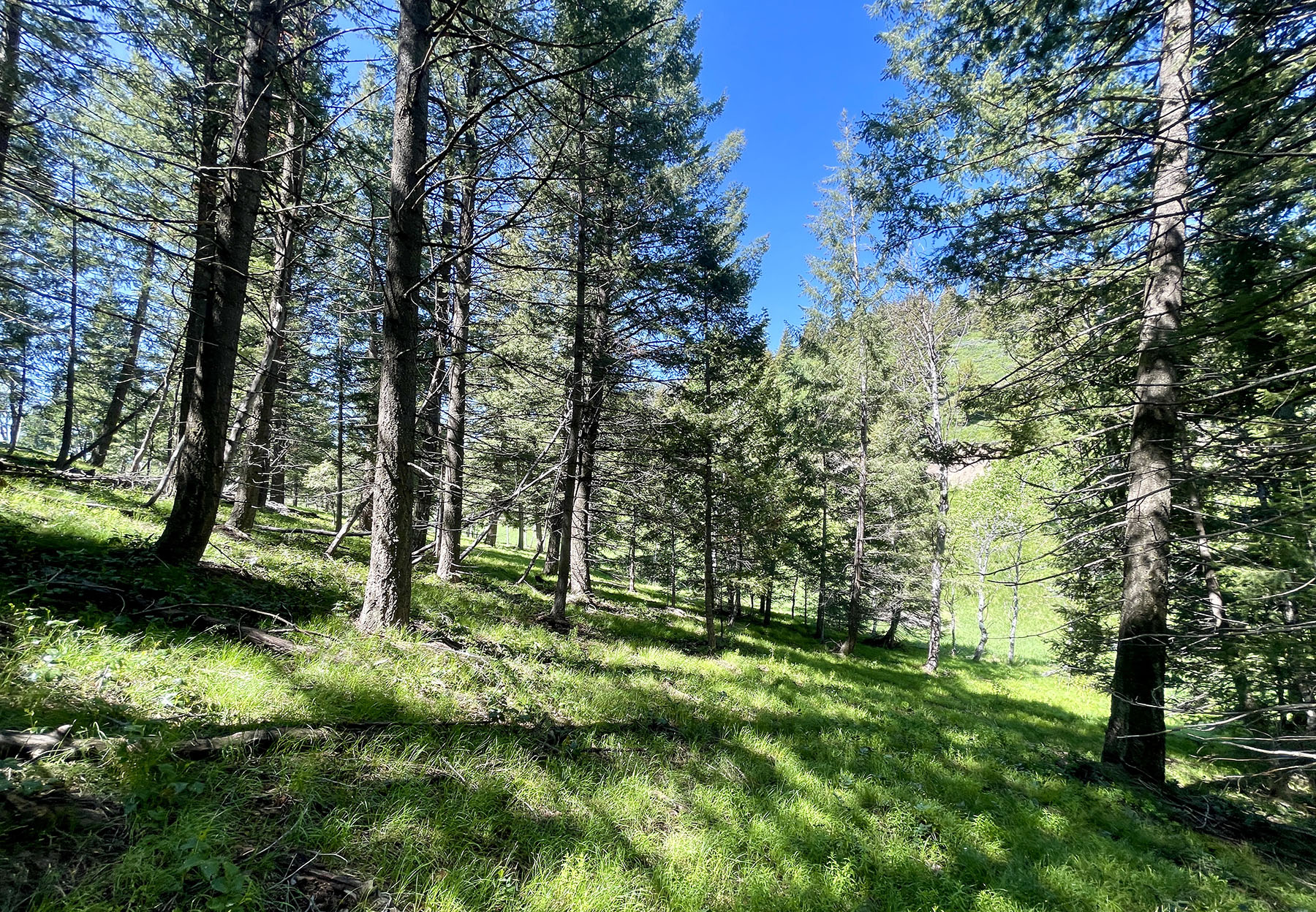 Soaring Eagle Retreat For Sale Idaho Hall and Hall