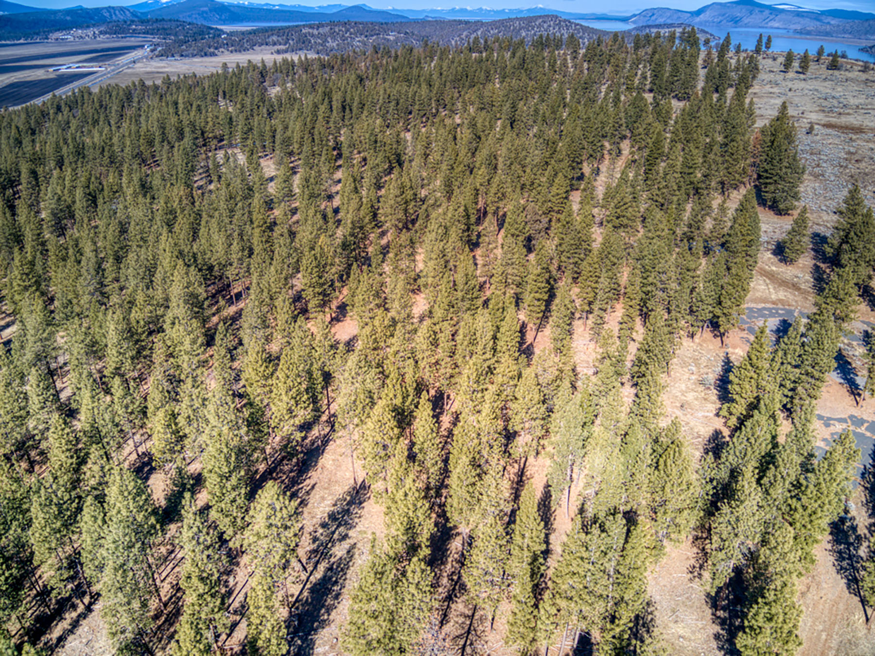 Cascade View Ranch property picture 30 of 32