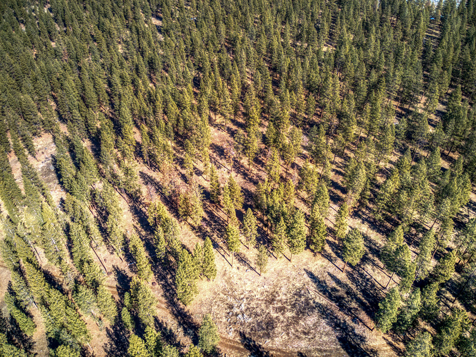 Cascade View Ranch property picture 32 of 32